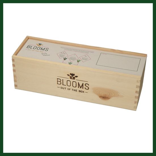 BLOOMSBOX LARGE WÄHREND VERSAND